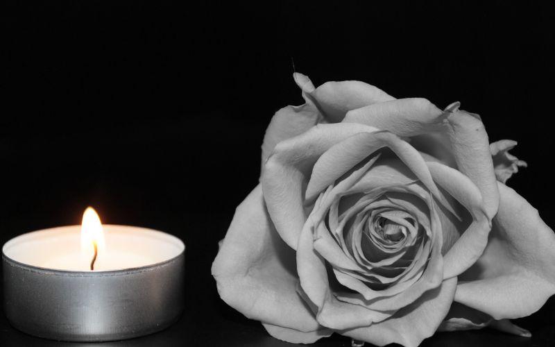 vela y rosa
